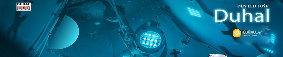 led tuy duhal