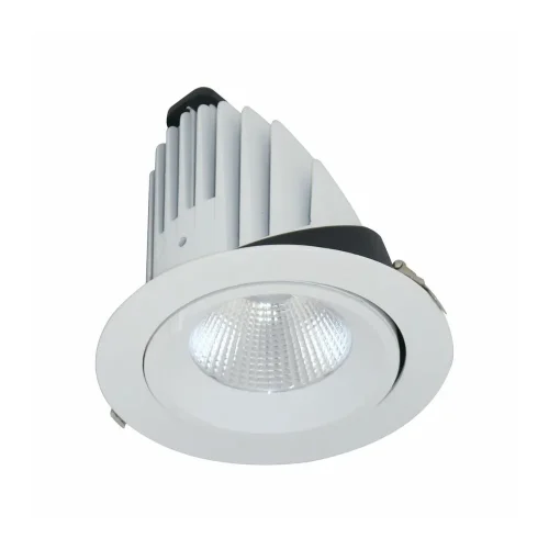 ĐÈN LED DOWNLIGHT CHIẾU SÂU 40W (BIB0401)
