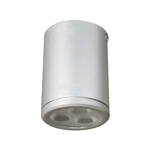 Đèn led gắn nổi chiếu sâu 3W SDFB801 Duhal