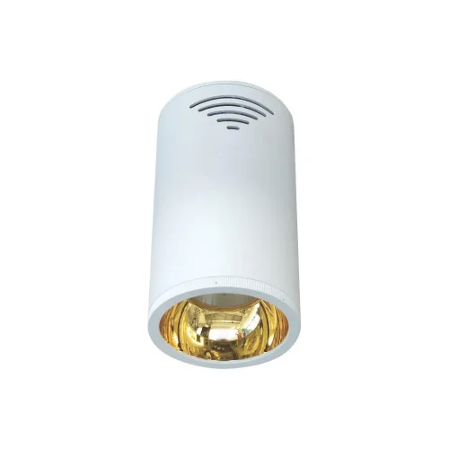 ĐÈN LED CHIẾU SÂU GẮN NỔI TRANG TRÍ 30W (DIB1305)
